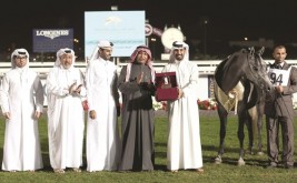 ختام مميز لبطولة قطر لجمال الخيل العربية للأهالي