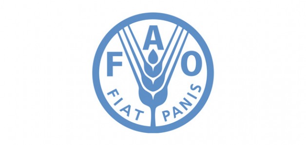  إضافة رسوم مالية لبعض من الخدمات المقدمة لملاك الخيل العربية في السعودية