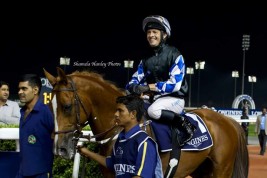 الجواد «بيج أند ريتش»  ينتزع كأس تحدي آل مكتوم  ويتسيد الجياد العربية