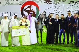 مربط دبي يتفوق بإنتاجه من الخيول العربية الأصيلة