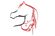 الجمعة المقبل موعد انطلاق بطولة البحرين لجمال الخيل العربية الأصيلة
