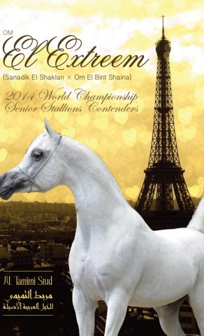 اوم الاكستريم باريس