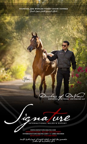 شكراً لمربط الراجحية ثقته بمركز سقنتشور