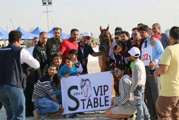 ختام ناجح لبطولة البحرين المحلية لجمال الخيل العربي