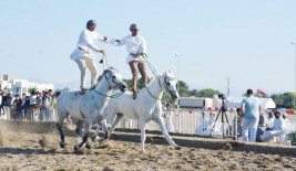رياضات الخيل التقليدية تتألق على شاطئ الحيل بعمان