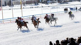 الإمارات تتحدى الجليد وتنظم سباقاً للخيل العربية على بحيرة متجمدة بسويسرا