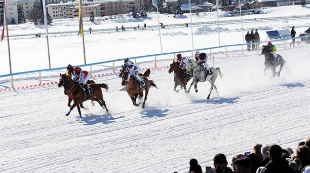 الإمارات تتحدى الجليد وتنظم سباقاً للخيل العربية على بحيرة متجمدة بسويسرا