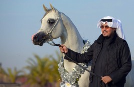 سمو الشيخ حمد خالد الحمد الصباح ممثلاً للكويت لدى (الإيكاهو)