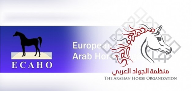 منظمة (الإيكاهو) تقر اتفاقية مشتركة مع منظمة (الجواد العربي) و تجدد لـ(لاسينا) رئيساً لها