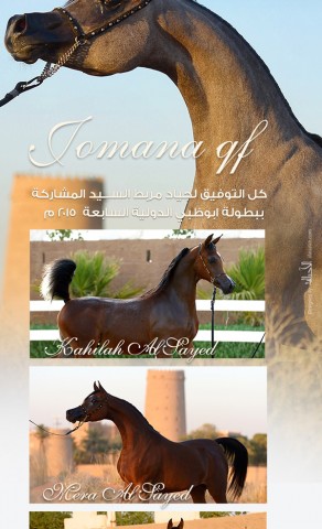 مشاركات مربط السيد ببطولة ابوظبي ٢٠١٥