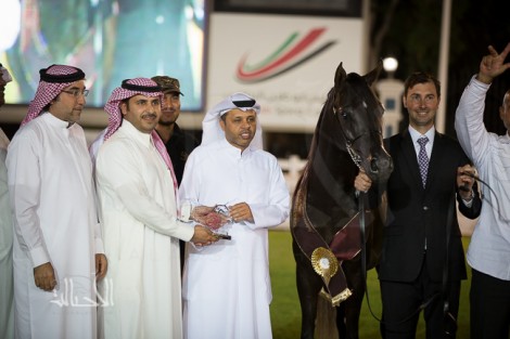 النتائج النهائية بالصور لبطولة أبوظبي الدولية لجمال الخيل العربية الأصيلة ٢٠١٥