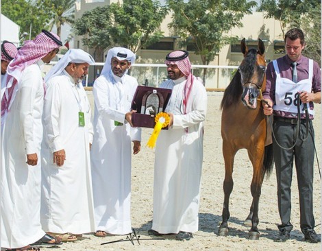منافسة شرسة في اليوم الأول بـ«قطر الدولية الـ ٢٤» و «المعود» يسجل أعلى الدرجات – النتائج