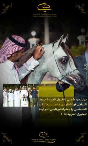 تهنئة لمربط الرياض للخيل العربية الأصيلة