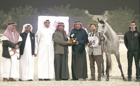 بطولات الجمال بقطر تختتم اليوم بالسلالة المصرية