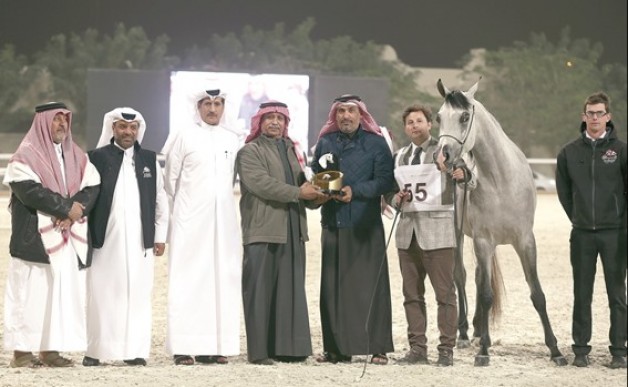 بطولات الجمال بقطر تختتم اليوم بالسلالة المصرية