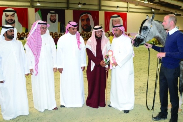 «المحمدية» و «الخالد» و «دبي» و «الخالدية» أبطال الذهب .. للمربين العرب .. ٢٠١٥ – النتائج