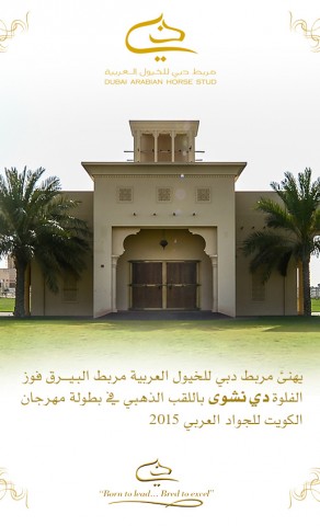 تهنئة من مربط دبي للخيول العربية الى مربط البيرق