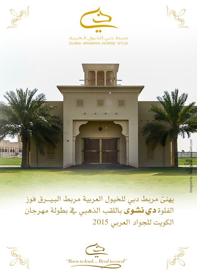 تهنئة من مربط دبي للخيول العربية الى مربط البيرق