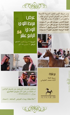 عرض مربط اللوى الودي  الـ ١٤