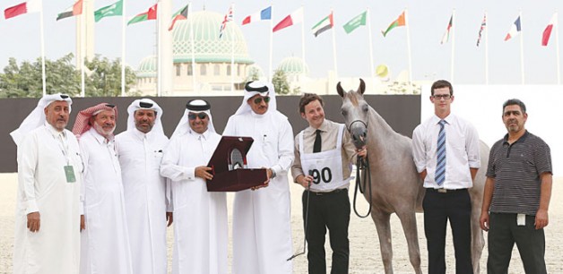 Qatar dominates at the International Arabian Horse Show