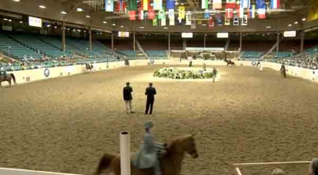 Expo NM losing Arabian Horse Association show