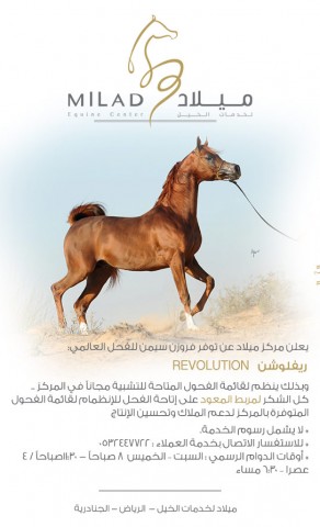 ميلاد | الفحل ريفلوشن ينظم لقائمة الفحول المتاحة للتشبية