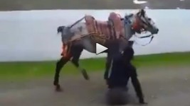 رجل مبتور الساقين يركب الخيل بمهارة .. فيديو