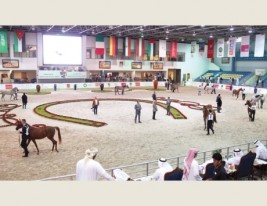 بطولة الشارقة الدولية للجواد العربي ٢٠١٥ تختتم اليوم