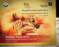 «ارامكو» ترعى عرض جمال الخيل العربية الأصيلة برأس تنورة – صور