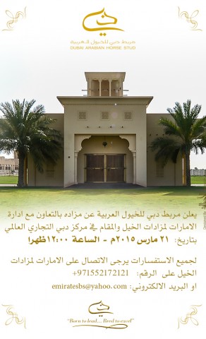 مزاد دبي للخيول العربية ٢٠١٥