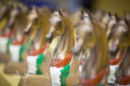 برنامج بطولة دبي الدولية الـ  13 للجواد العربي 2016