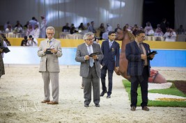 «دبي الدولية للجواد العربي ٢٠١٧» تدعوا الملاك لحضور قرعة اختيار الحكام