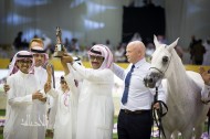Photo Gallery for the 2nd day of Dubai 2015 International Arabian Horses Championship