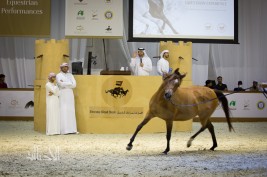 بمزاد الخيل في معرض دبي «الصقران» يقتنص الفرس الأغلى سعراً بمليون درهم