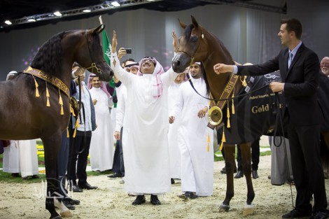 صور مقتطفة من اليوم الختامي لبطولة دبي ٢٠١٥ الدولية للجواد العربي