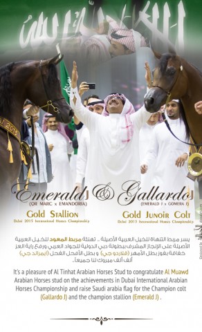 مربط التنهاة يهنئ «المعود» على الإنجازات المشرفة