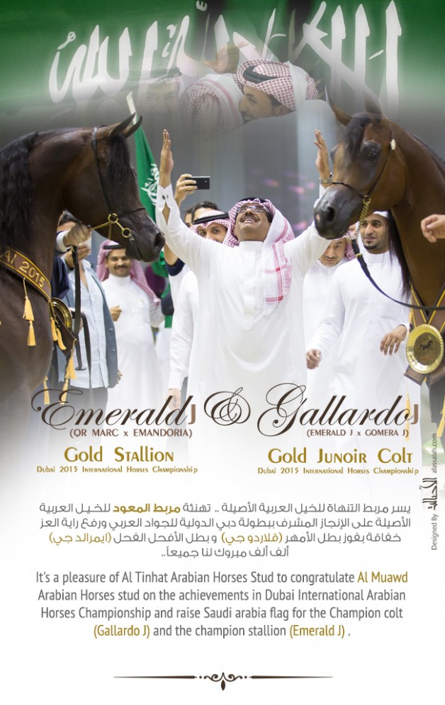 مربط التنهاة يهنئ «المعود» على الإنجازات المشرفة