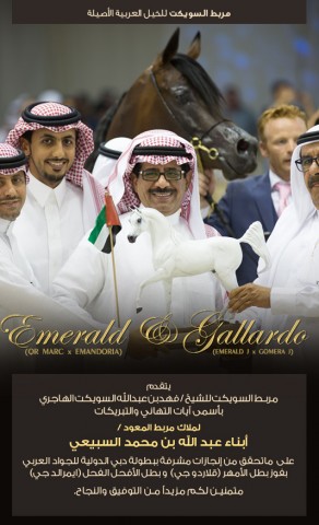 مربط السويكت يهنئ «المعود» على انجازات بطولة دبي ٢٠١٥