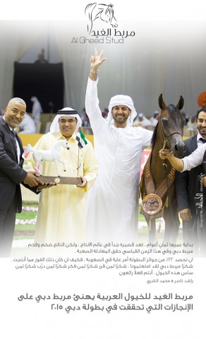 مربط الغيد مربط دبي على إنجازات بطولة دبي ٢٠١٥