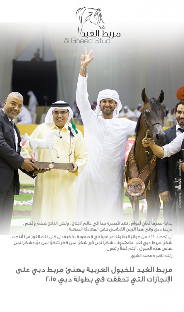 مربط الغيد مربط دبي على إنجازات بطولة دبي ٢٠١٥