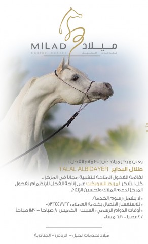 إنظمام الفحل طلال البداير للأفحل المتاحة للتشبية مجاناً