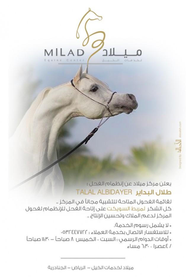 إنظمام الفحل طلال البداير للأفحل المتاحة للتشبية مجاناً