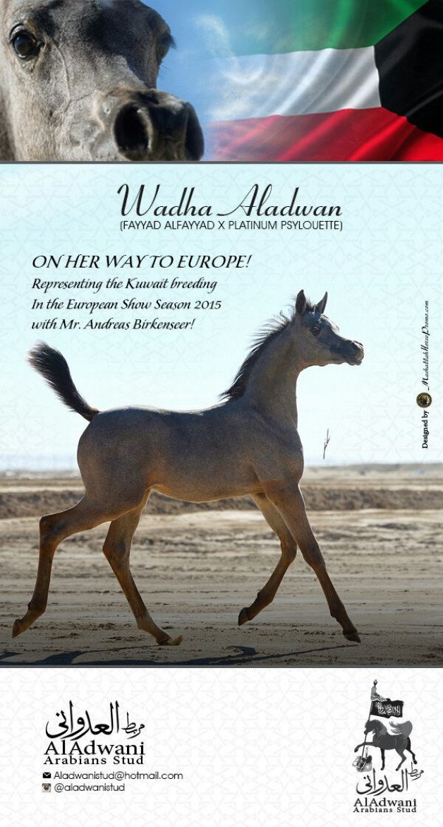 Wadha Aladwan .. To Europe!