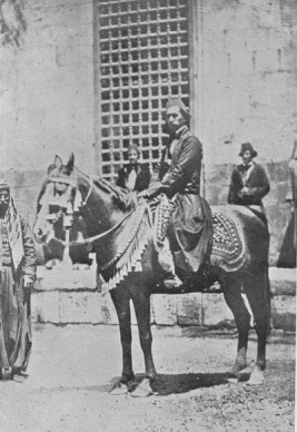 شخصيات في تاريخ الخيل العربية: على باشا الشريف