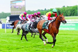 مهرجان منصور بن زايد للخيول العربية يحط الرحال في «لينفيلد»