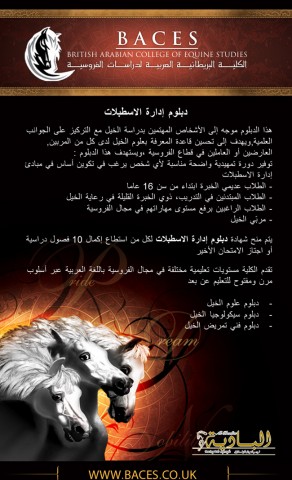 دبلوم ادارة الإسطبلات