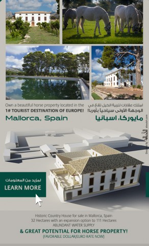 Breed your horses in the #1 Tourist destination in Europe!