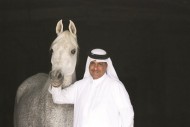 حمد بن علي آل ثاني يعود بجياد «الريان» من خلال بطولة العالم للخيل المصرية