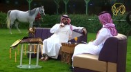 فيديو: لقاء لمربط المعود عبر برنامج أهل الخيل بقناة الصحراء