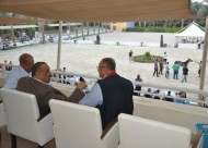 «الجيزة» تحتضن البطولة الدولية الأولى لجمال الخيول العربية المصرية